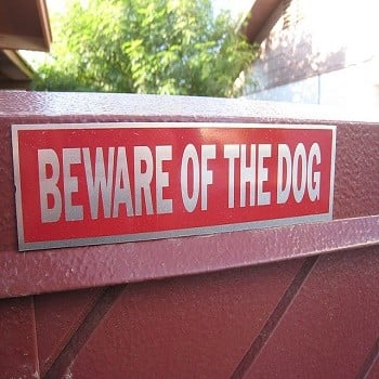 beware-of-the-dog