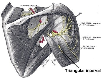 rotator-cuff-injury