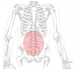 lower back pain missouri workers compensation lawyer