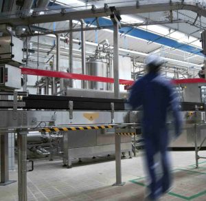 conveyor belt