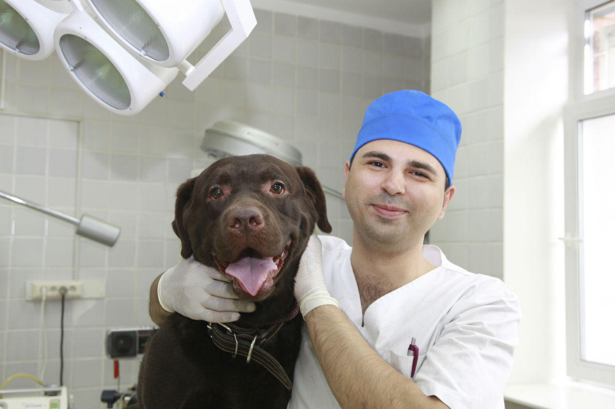 vet clinic worker with a dog