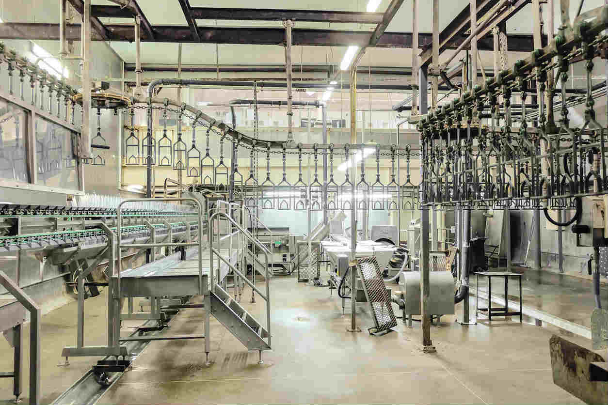 Poultry Processing Plant