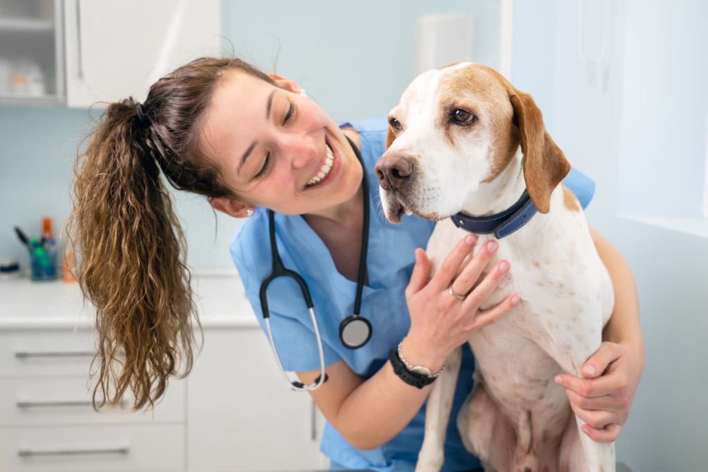 animal clinic worker with a dog