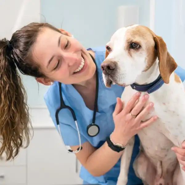 animal clinic worker with a dog