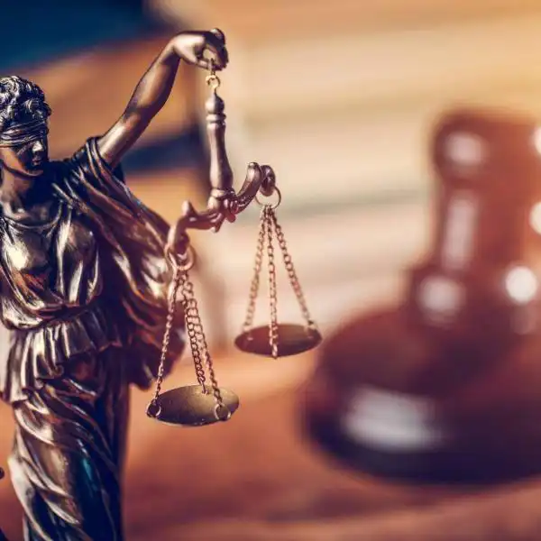 expert testimony in workers comp case
