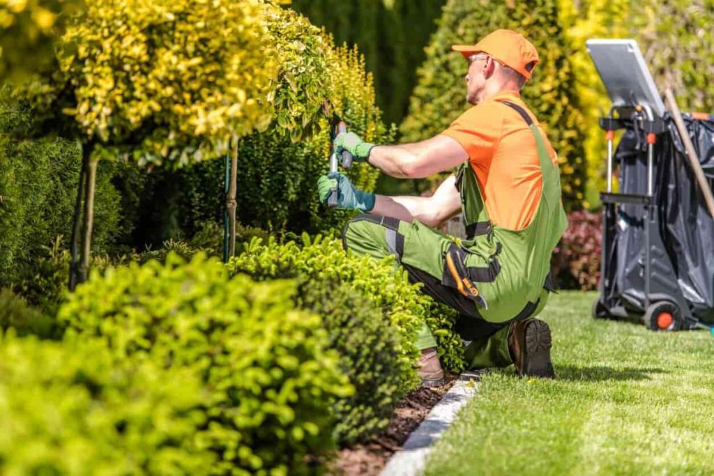 gardener trimming