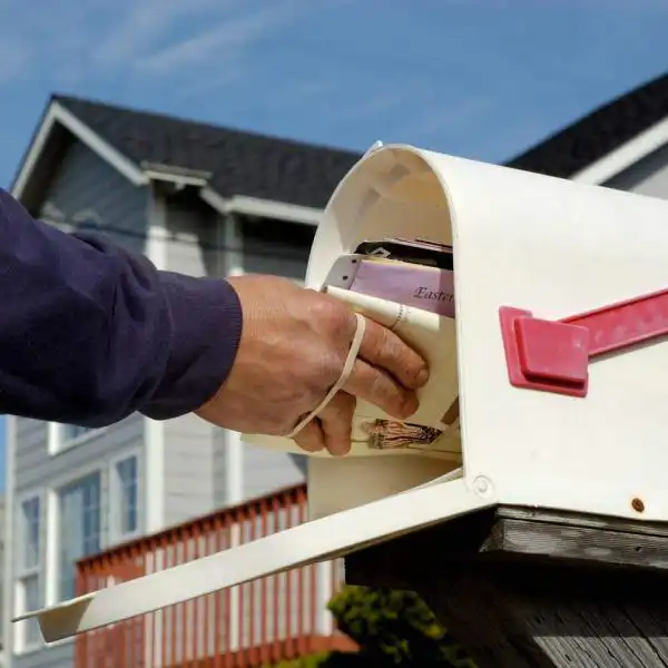 st louis mailman delivering mail